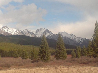 The Moose Meadows rest stop between Invermere and Calgary.