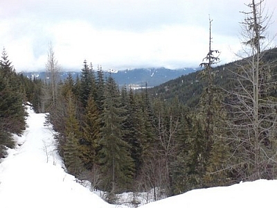 Snowshoe trail and scenery at Garibaldi Provincial Park, accessed from the Whistler ski resort.