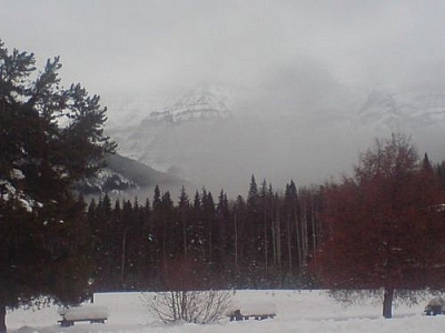 Rest area scenery at Mount Robson Park.