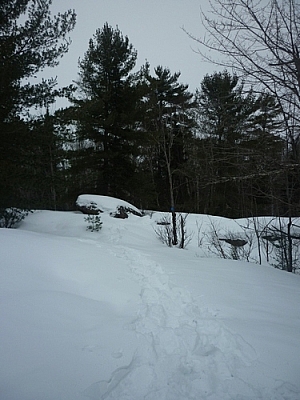 Following snowshoe tracks and blue markers along the Lapin Beach Trail while snowshoe hiking Mashkinonje Park.