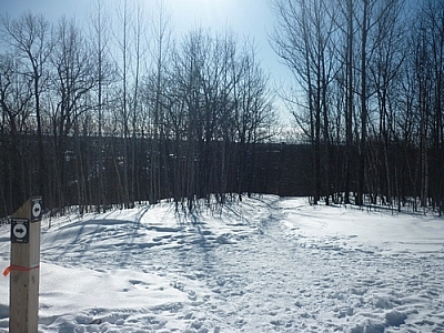 Scenery from winter walking the Laurentian Escarpment Trails in North Bay.