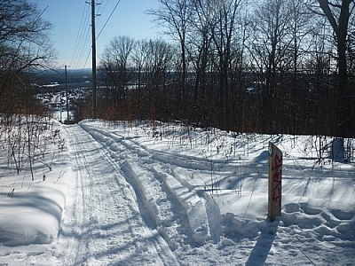 View of a pole line while winter walking the Laurentian Escarpment Trails.