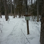 The junction to Samoset Trail from Lapin Beach Trail.