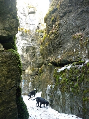 Fetcher and Maggie exploring the cave system at Nottawasaga Lookout Park.