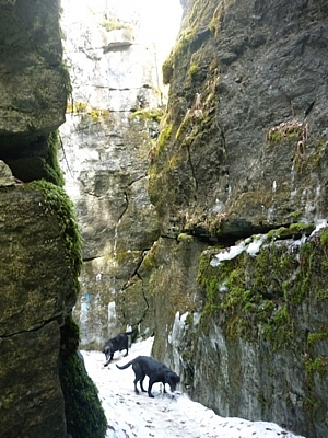 Nottawasaga Lookout Trail Map Day Hiking At Pretty River Valley And Nottawasaga Lookout | Journiackery