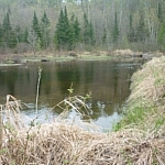 A dam crossing while following Semiwite Lake Trail at Mississagi Park.