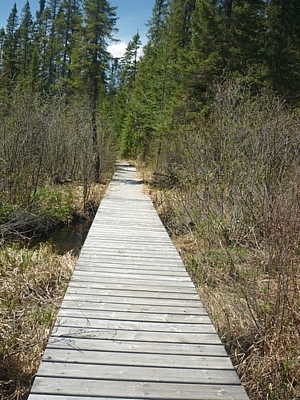 Boardwalk seen while hiking the trails at Mississagi Park.