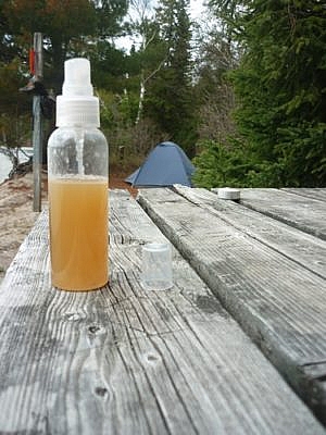 We bring our natural bug spray on every hiking and camping trip!