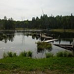 A broken boardwalk across a beaver pond seen while hiking the White Bear Forest Trails in Temagami.