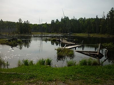 A broken boardwalk across a beaver pond seen while hiking the White Bear Forest Trails in Temagami.