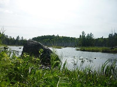 White Bear Forest Trails - Temagami - P1050575