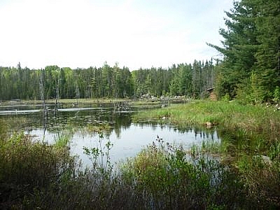 A log cabin by a beaver pond in Temagami's White Bear Forest.