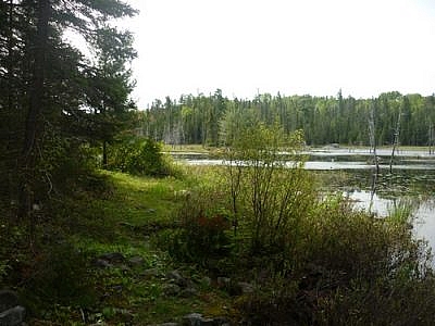 Along the Red Fox Trail in Temagami.