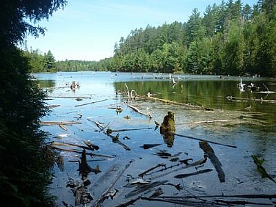 Waterside scenery seen while hiking Temagami's White Bear Forest Trails.