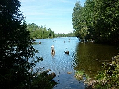 View from the lakeshore seen along the White Bear Forest Trails.