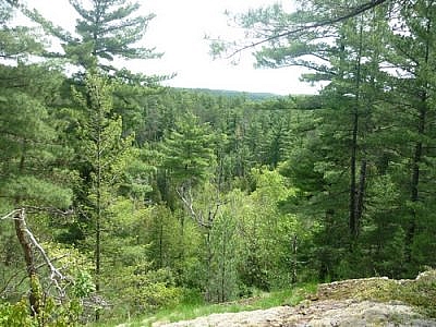 Scenic view from a lookout point along one of Temagami's White Bear Forest Trails.