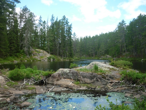 Beautiful wetland scenery while backpacking the Grand Campment-Nagle loop on the OTHT.