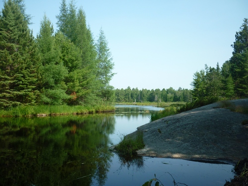 Wetland on Pioneer Trail in Noëlville.