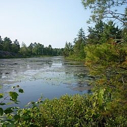 Pioneer Trail scenery in French River
