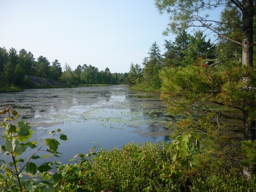 Pioneer Trail scenery in French River