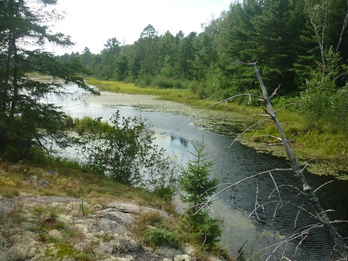 Scenery from the French River Multi-Use Trails in Noëlville.