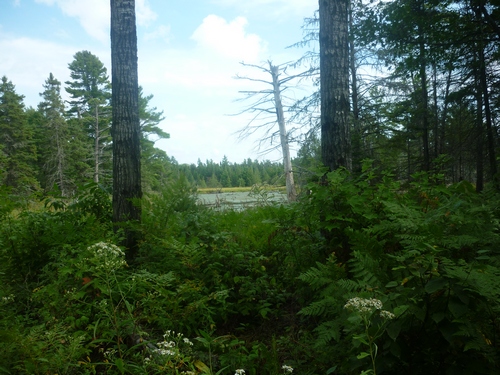 Beautiful views while walking the French River Multi-Use Trails.