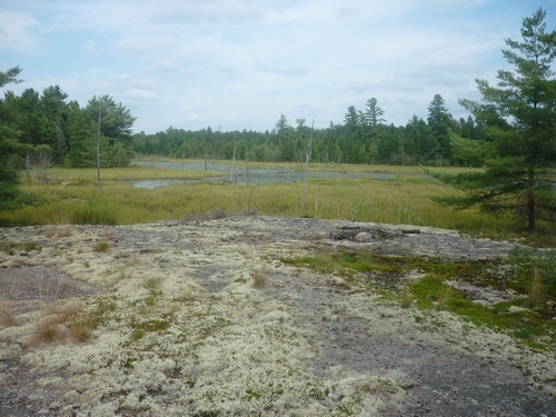 Scenery along the French River Multi-Use Trails in Noëlville.