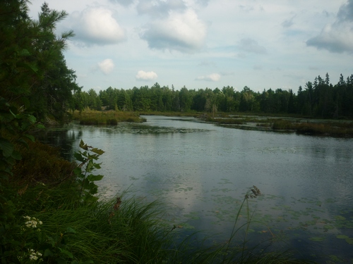 Scenery from Barbotte Trail in French River.