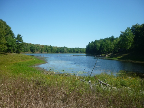 Scenery from the Slide Lake Loop at Frontenac Park.