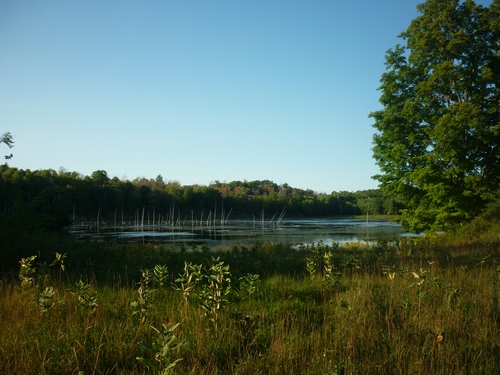 Views along the Slide Lake Loop at Frontenac Park.