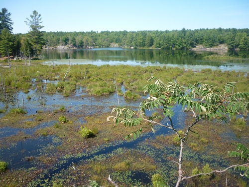 Along the trail at Frontenac Park.