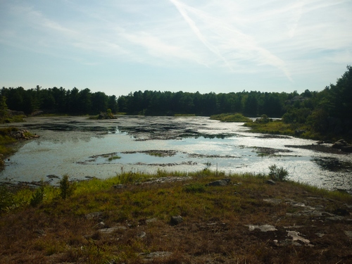 Scenery while hiking at Frontenac Park.