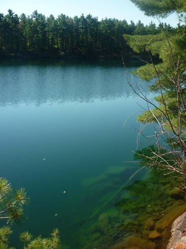 View of Big Clear Lake from our campsite at Frontenac Park.