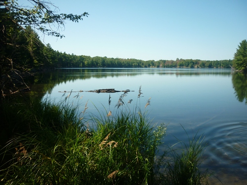 Scenery from Frontenac Provincial Park.