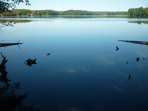 A peaceful lake at Frontenac Park.