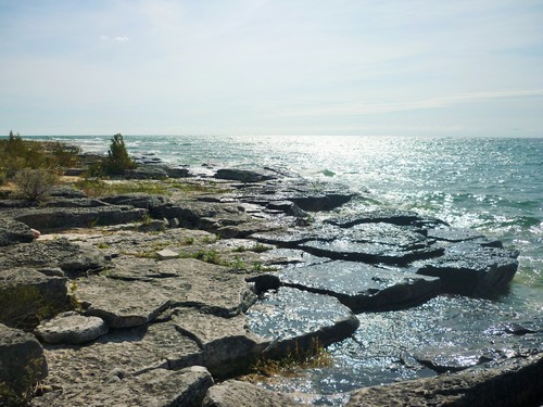 Scenery from the Coastal Alvar Trail at Misery Bay Provincial Park.