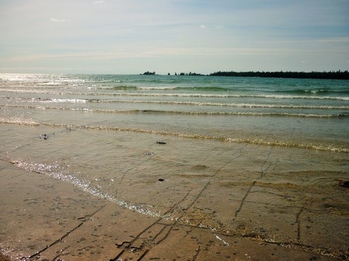 Alvar pavement beneath the water at Misery Bay.